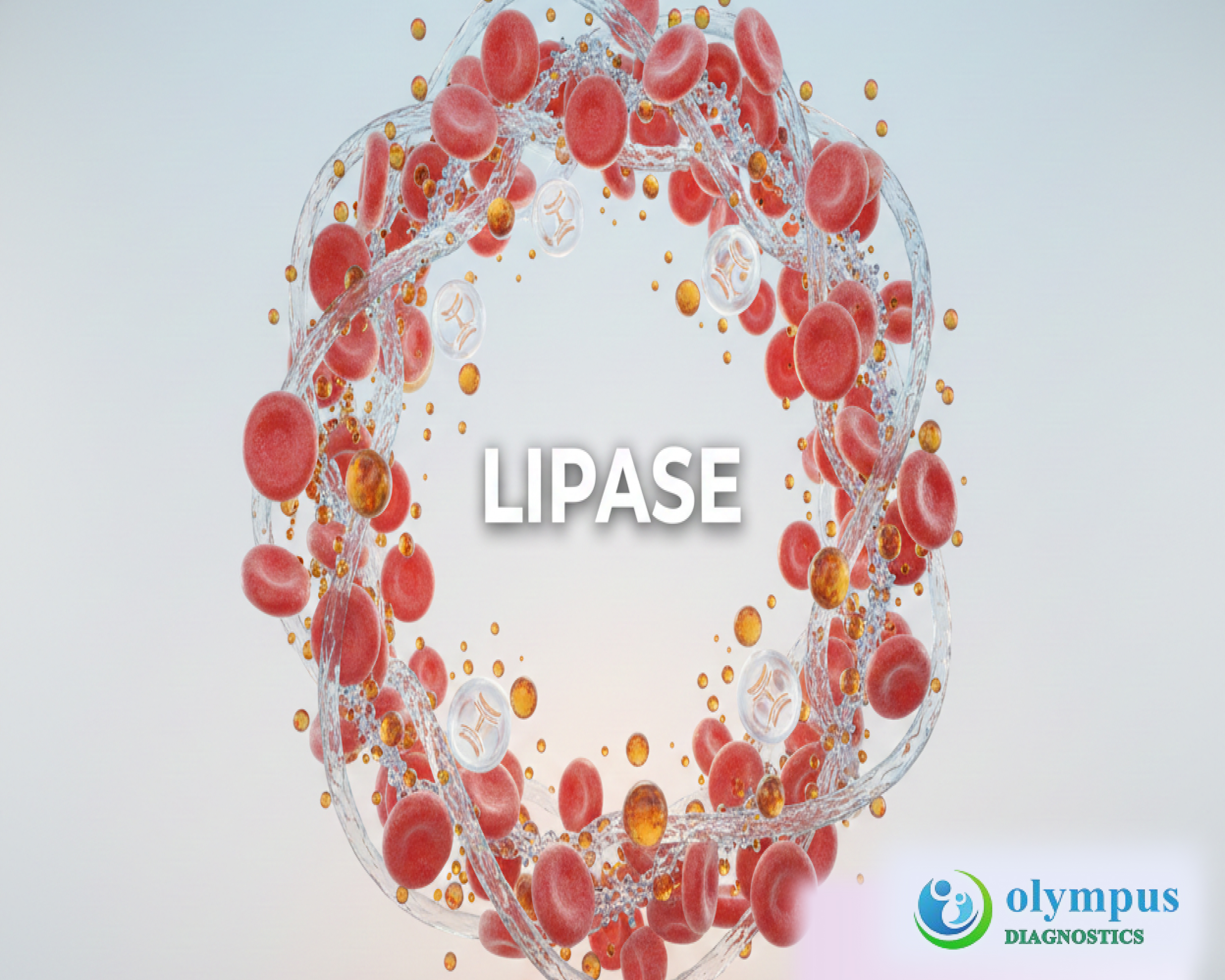 LIPASE