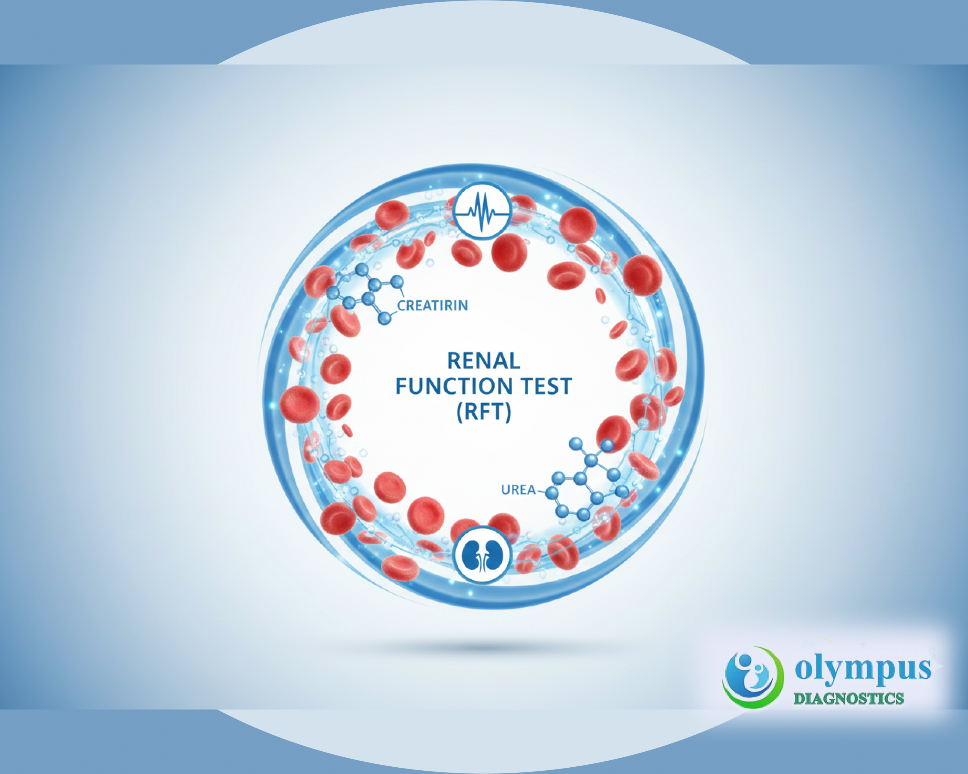 RENAL FUNCTION TEST (RFT)