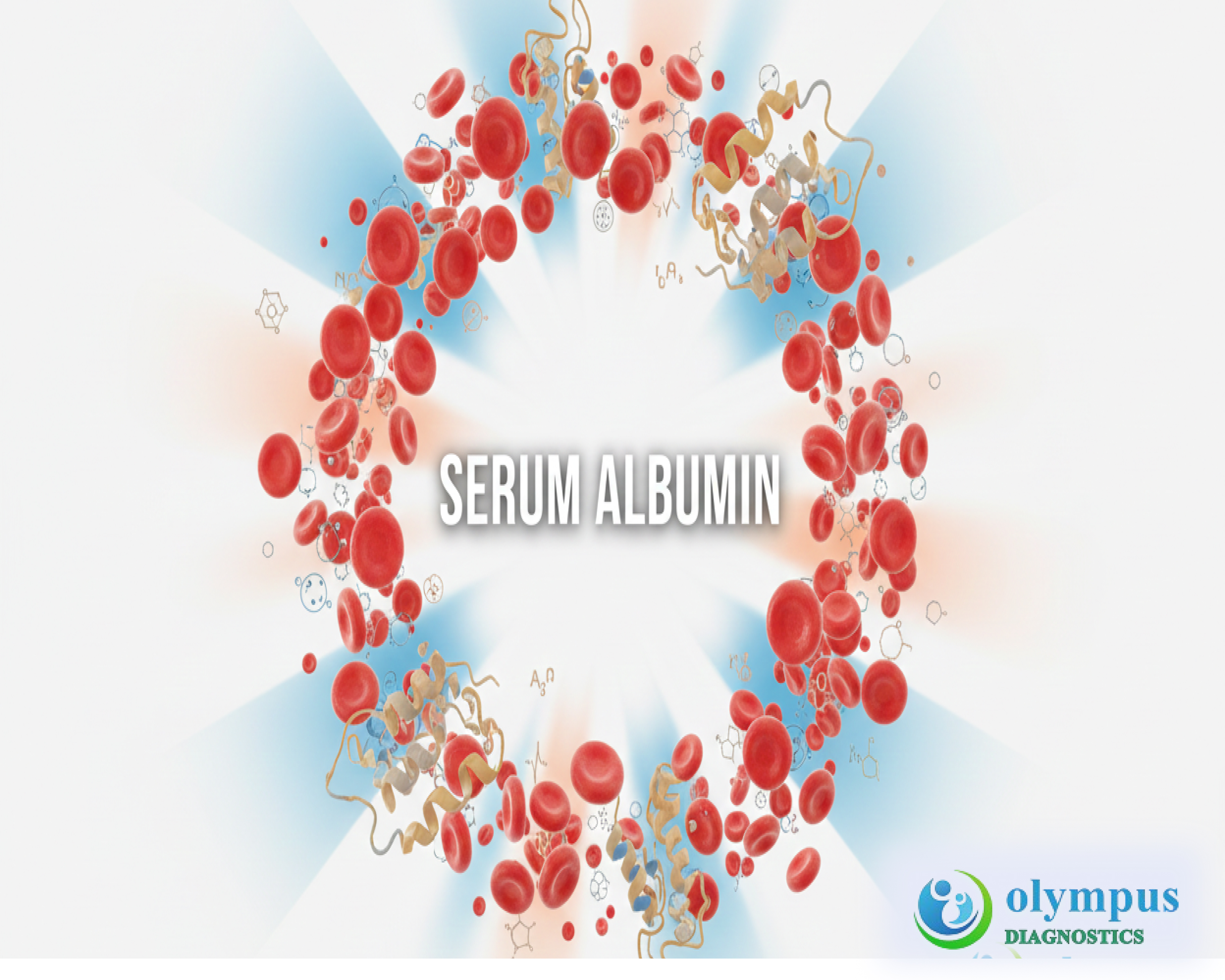 SERUM ALBUMIN