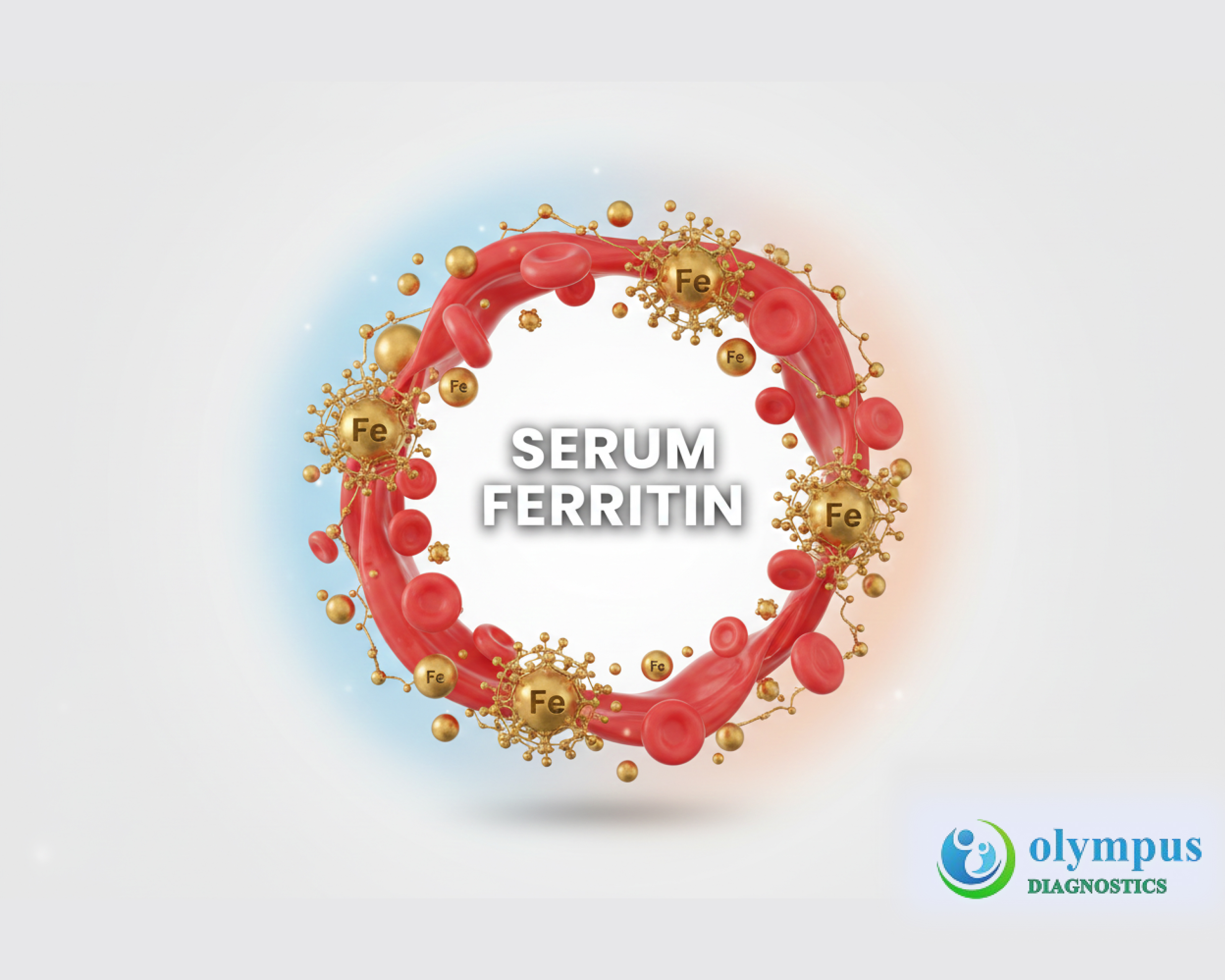 SERUM FERRITIN